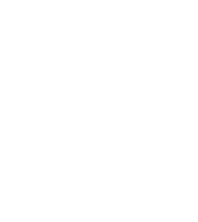 logo light